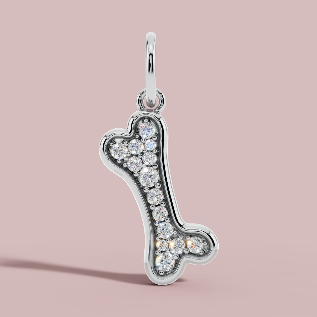 The Bone Charm Necklace