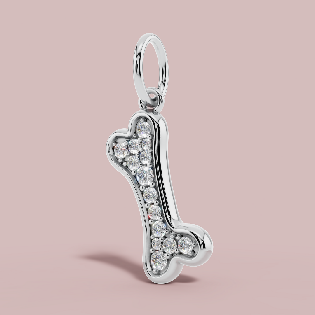 The Bone Charm Necklace