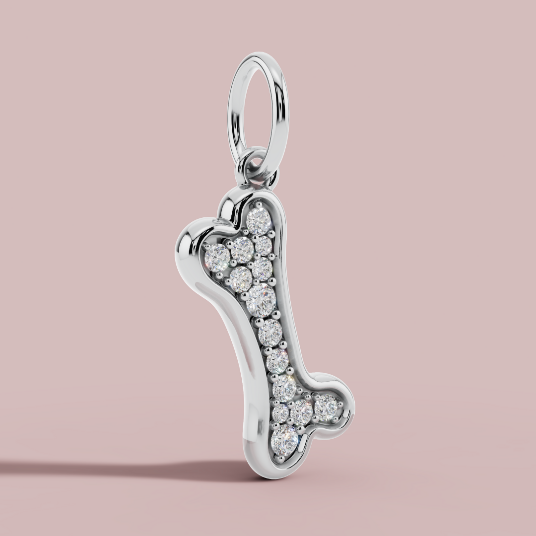 The Bone Charm Necklace